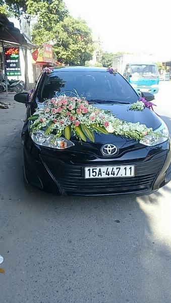BẢNG GIÁ XE 7 CHỖ